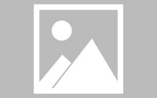 醴陵新区景区网站建设（in art criticism,you must assume）